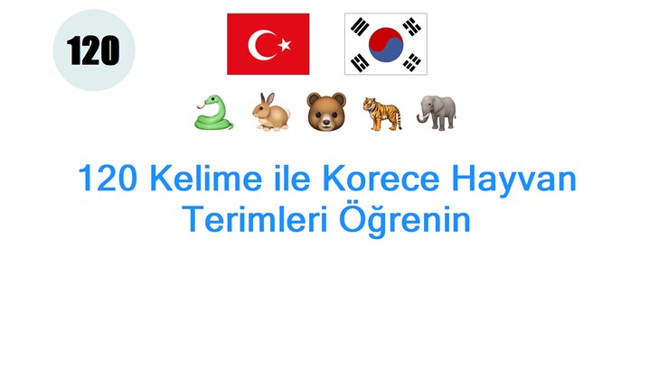 120 Kelime ile Korece Hayvan Terimleri Öğrenin